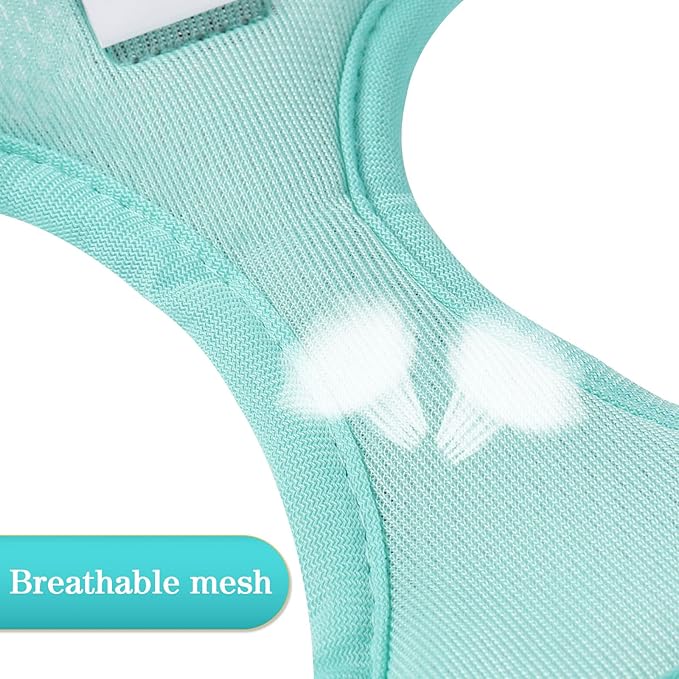 YIMEIS Dog Harness and Leash Set, No Pull Soft Mesh Pet Harness, Reflective Adjustable Puppy Vest for Small Medium Large Dogs, Cats (Tiffany Blue, X-Small (Pack of 1)