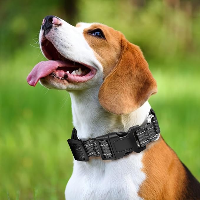 Reflective Martingale Dog Collars. Dog Collar with Quick