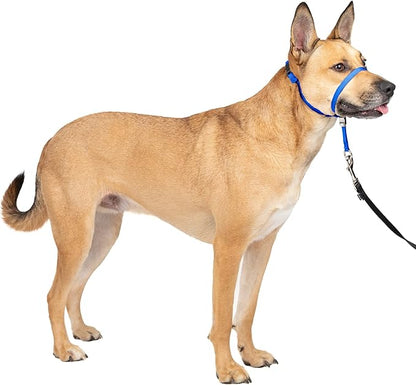 PetSafe Gentle Leader No-Pull Dog Headcollar