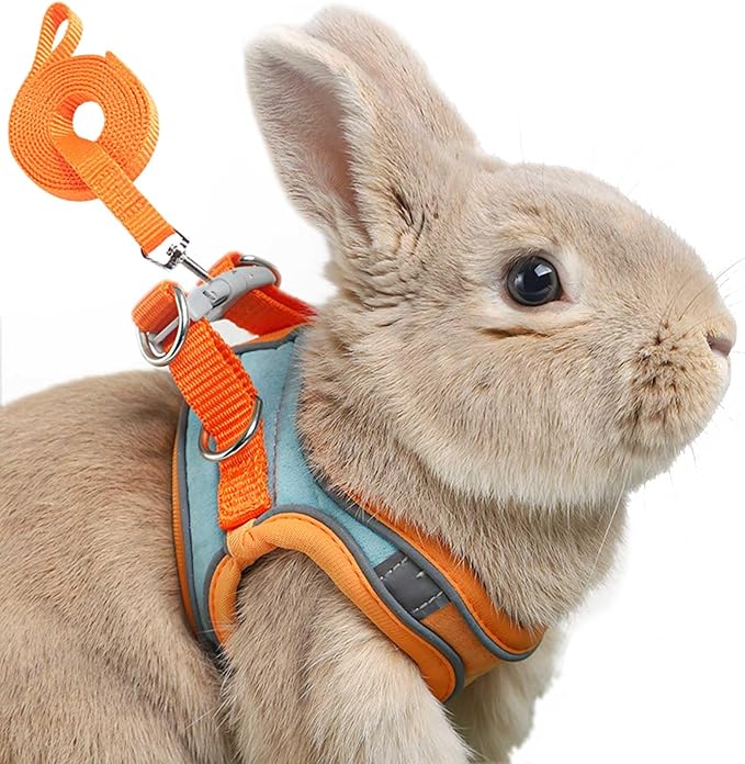 Adjustable Bunny Harness and Leash Set Double Buckle with Reflective Strips Rabbit Vest Pets Stuff Suitable for Rabbit Walks Accessories (Orange Green, S)