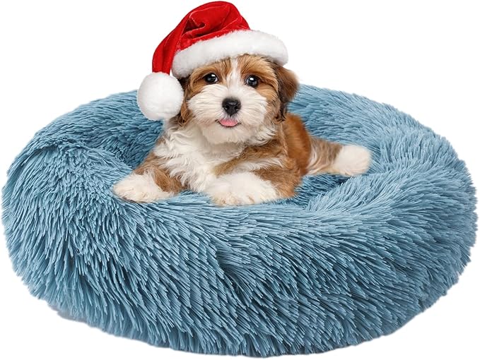 Aurako Cat Bed Dog Bed Round Cushion Pet 23" Cyan