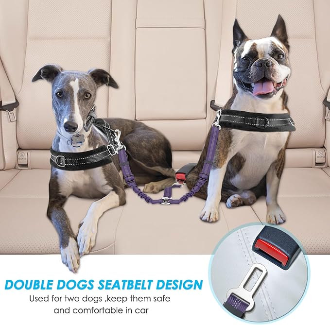 SlowTon Dog Seat Belt, Double Dog Seatbelt Adjustable Vehicle Safety Leash with Elastic Bungee Buffer, Reflective No Tangle Y Shape Two Dog Harness Seat Belt Splitter for Pets Car Trip (Purple, M)