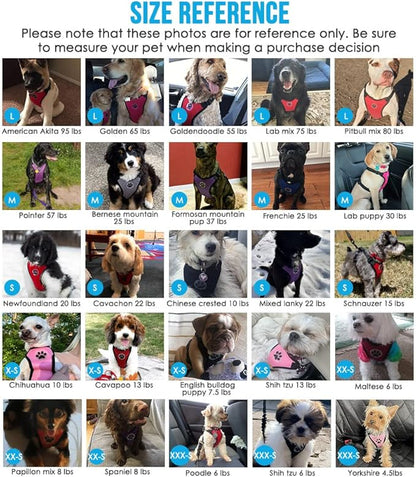 Lukovee Dog Seat Belt for Car 2 in 1),Large)