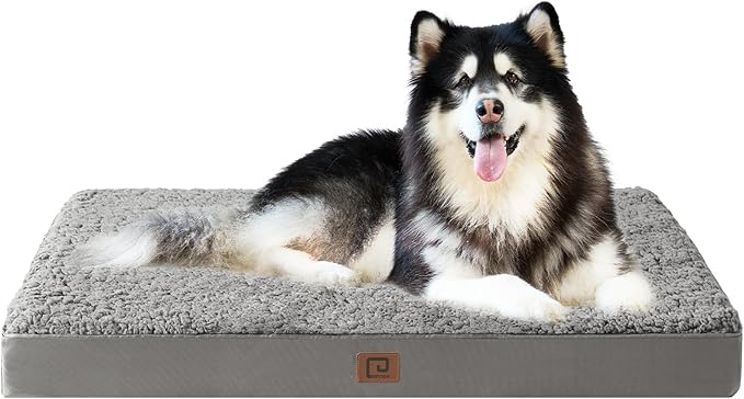 EHEYCIGA Orthopedic Foam Dog Bed 47"L x 29"W x 3.5"Th, Light