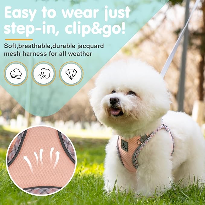 Dog Harness and Leash Set, No Pull Pet Harness for Small Dogs Easy Walking,Soft Breathable Small Dog Harness,Adjustable Reflective Step in Vest Harness for Puppy,Kitten, Cats