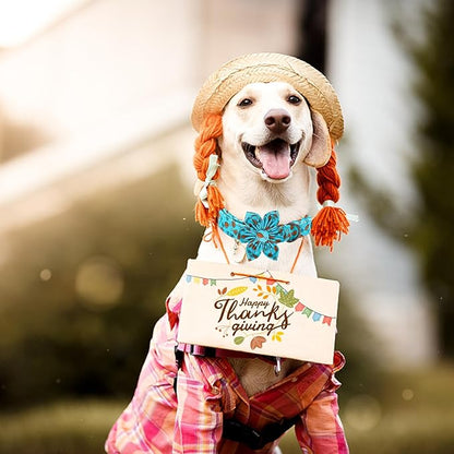 Elegant little tail Dog Collar with Flower