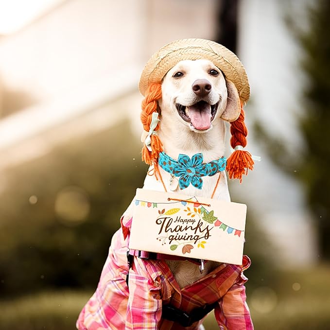 Elegant little tail Dog Collar with Flower