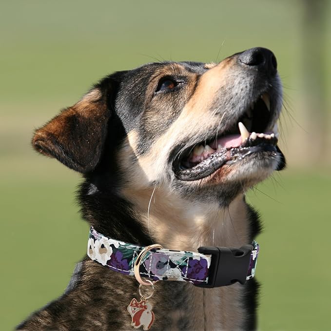 Flower Patterns Dog Collar with Accessories