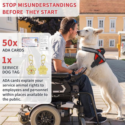 Service Dog Vest, Service Dog Tag and 50 ADA Information Cards,Service Dog Harness in Sizes X Small to XX Large, Ruggedized Metal Tag, Service Animal Information Cards, ESA Accessory Set (Small)