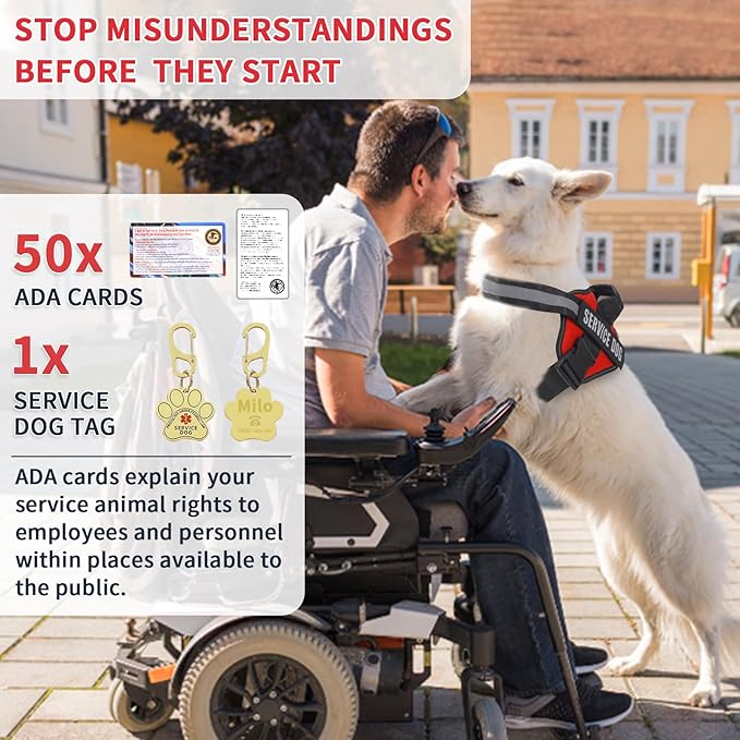 Service Dog Vest, Service Dog Tag and 50 ADA Information Cards,Service Dog Harness in Sizes X Small to XX Large, Ruggedized Metal Tag, Service Animal Information Cards, ESA Accessory Set (Large)