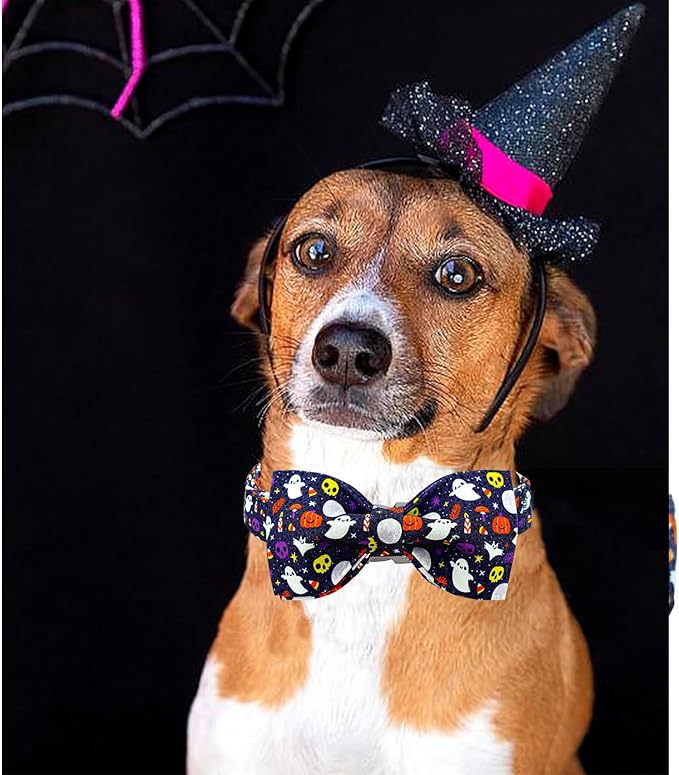 Lionheart glory Halloween Dog Collars, Bowtie Dog Collar Heavy Duty Adjustable Fall Holiday Dog Collar for Small Collar Dog Bow Female or Male Dog Collar Pet Collar Gift