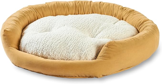 Maddie Donut Dog Bed with Removable Center Pillow (24" x 24")