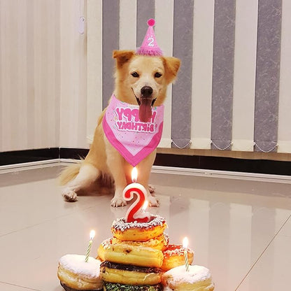 Dog Birthday Party Bandana Hat Set Dog Birthday