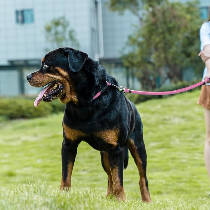 Dog Leash ((1/2") - 2FT, Pink)