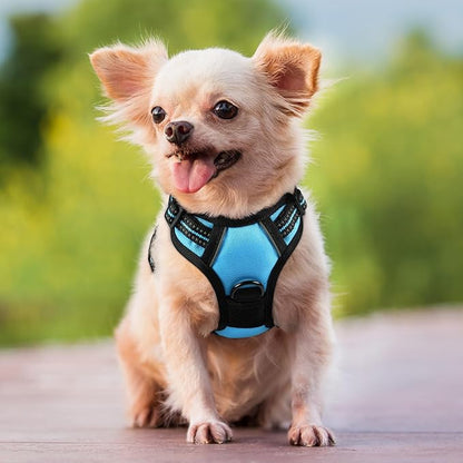 rabbitgoo Dog Harness 2 Leash