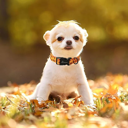 ARING PET Fall Dog Collar-Cotton Lightweight Maple Leaves Dog Collar