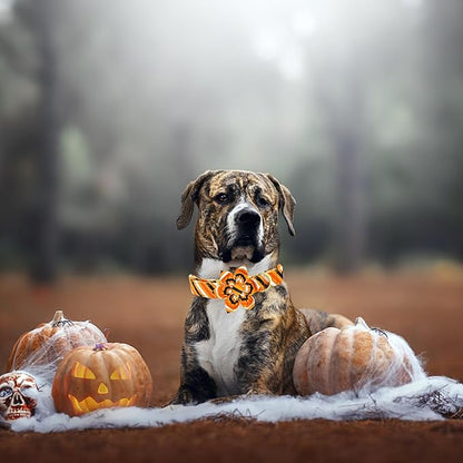 Elegant little tail Halloween Dog Collar