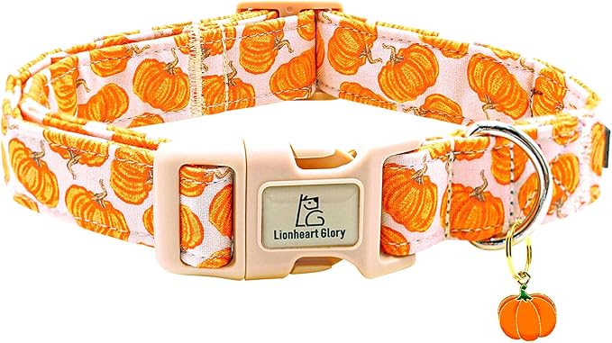 Lionheart glory Halloween Dog Collars Pumpkin Pink Dog