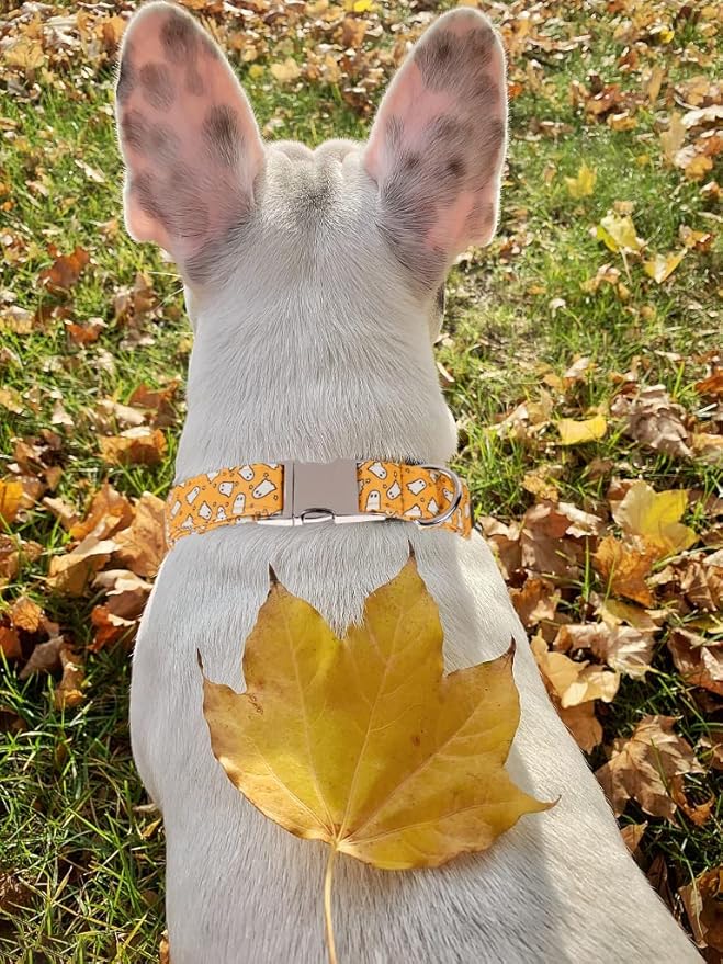 Lionet Paws Dog Collar with Flower 16-26in