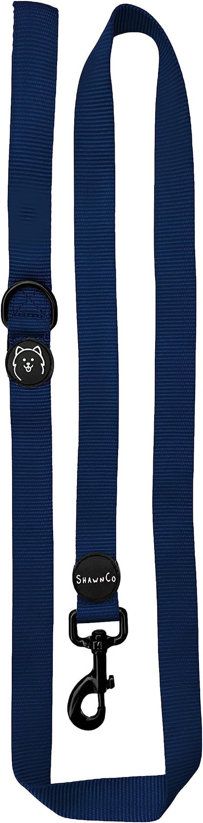 ShawnCo Dream Walk Dog Leash- Premium, Nylon Pet Leash with Soft Neoprene Handle for Small, Medium and Large Dogs (Pacific Blue, Small)