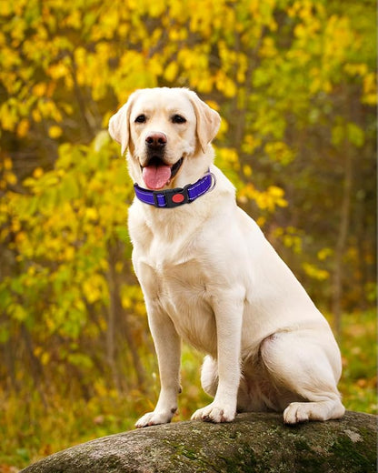 Reflective Dog Collar