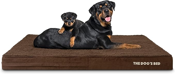 The Dog’s Bed Orthopedic Memory Foam Dog Bed 54x36, Pain