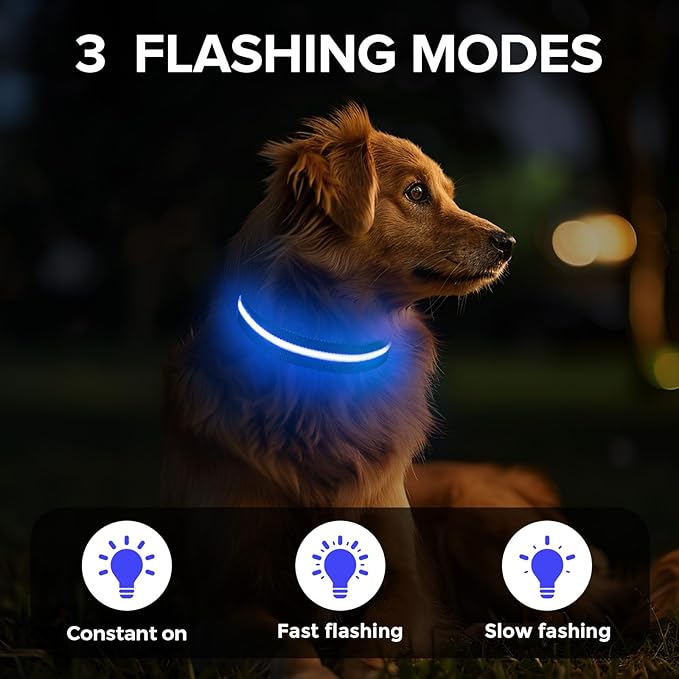Led Dog Collar for Night Walking