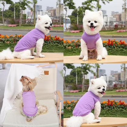 Dog Shirt Vest Clothes for Small Dogs Boy Girl Summer Solid Stretchy Puppy T-Shirts Soft Cool Breathable Lightweight Dog Sweatshirt Pet Cat Outfit