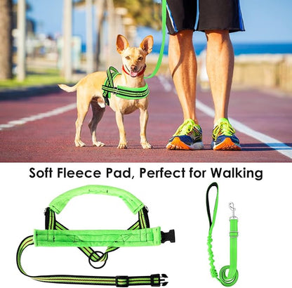 Lukovee Dog Harness and Leash Set, Soft Padded Small Dog Harness, Neck & Chest Adjustable Reflective Vest Puppy Harness with 4ft Lightweight Anti-Twist Dog Leash for Small Dogs (XX-Small, Green)