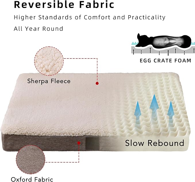 DaysU Dog Bed for Medium Dogs 35 Ibs, 35x22x3in