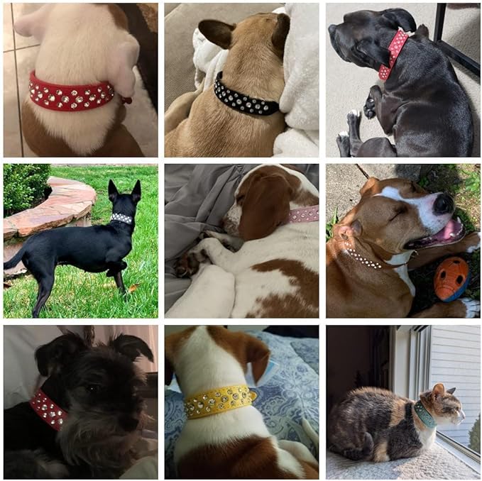 Rhinestone Dog Collar