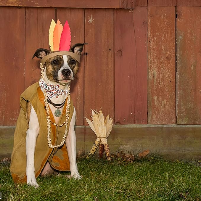 Elegant little tail Dog Collar with Flower