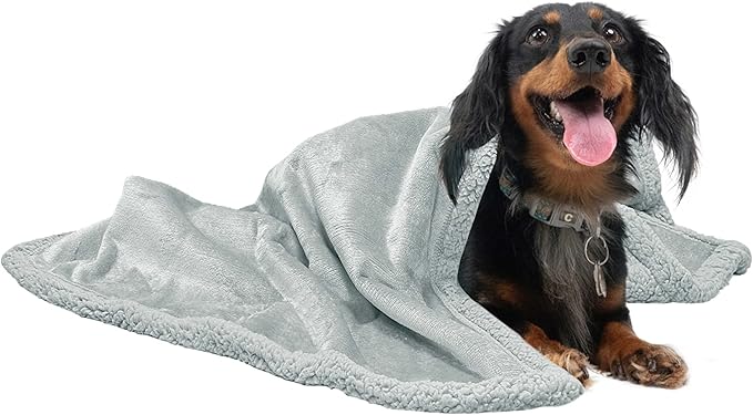 PETHUR Waterproof Dog Blankets for Medium Dogs, Medium Cat Blanket Washable for Couch Protection, Sherpa Fleece Dog Blanket Reversible, Light Gray, M