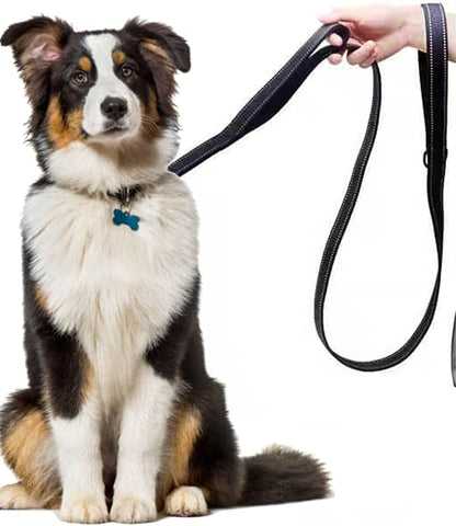 Solmoony 4FT Green Strong Dog Leash with 2 Padded Handles 4FT)