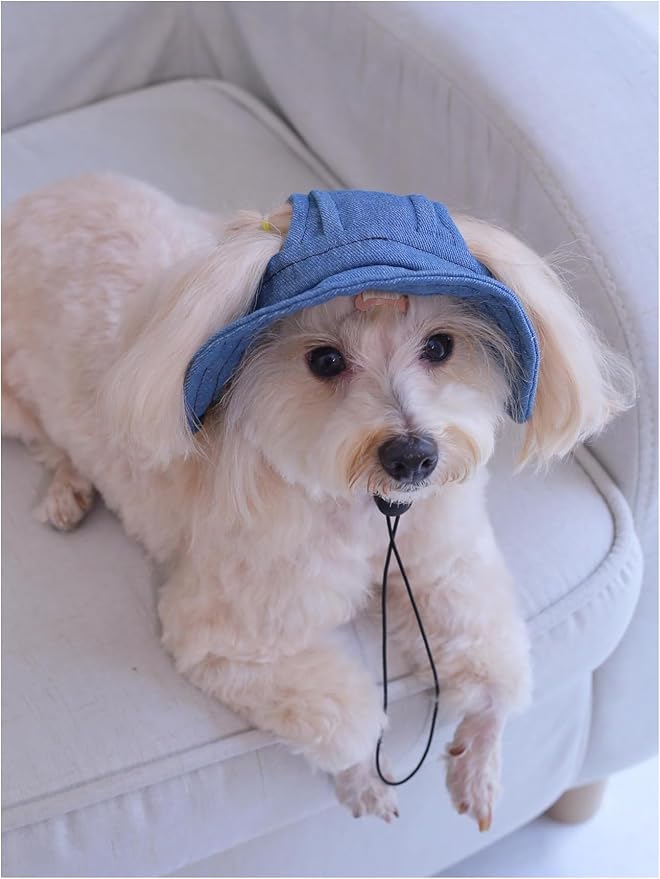 Generic Solid Dog Hat with Ear Hole Round Brim Dog Puppy Cat Sun Hat Bucket Hat Outdoor Sun Protection Pet Caps for Small Medium Cats Dogs Kitten Blue Large