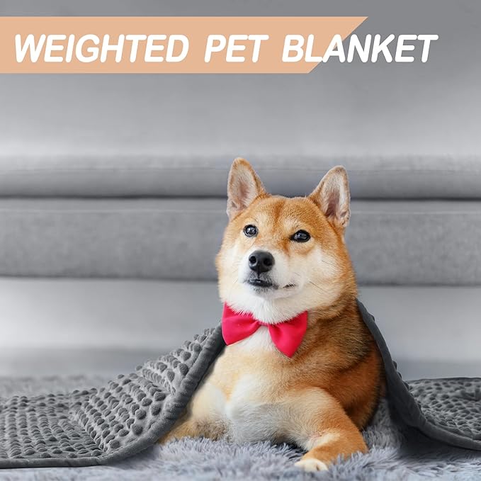 YUSRA Dog Weighted Blanket, Soft Minky Dog Blanket Warm Small Weighted Blanket Especially for Thunderstorms, Fireworks, Separation, Travel, Bed and Couch, Machine Washable, (Grey, 40 * 47inch 6lbs)