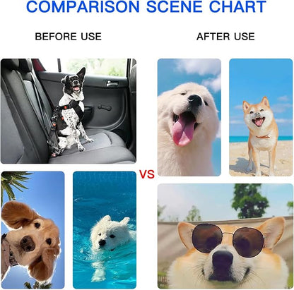 Dog Cooling Mat Gel: Large Cooling Pad for Dog (31.8" x 37.7"