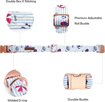 Lionheart glory Dog Collar