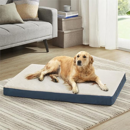 Friends Forever Orthopedic Dog Bed 44x32x3.5
