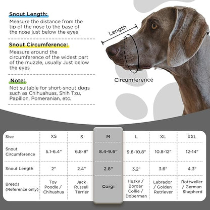 Dog Muzzle
