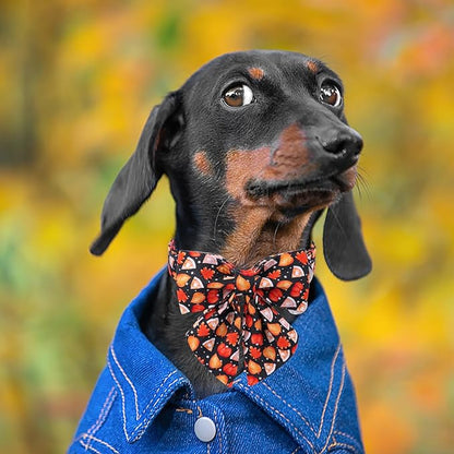 DOGWONG Fall Dog Collar with Bowtie