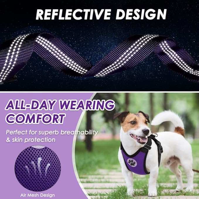 Lukovee Dog Seat Belt for Car, Adjustable Dog Car Harness for Large Medium Small Dogs, Soft Padded & Breathable Mesh Dog Seatbelt with Car Vehicle Connector Strap (Purple,XXX-Small)