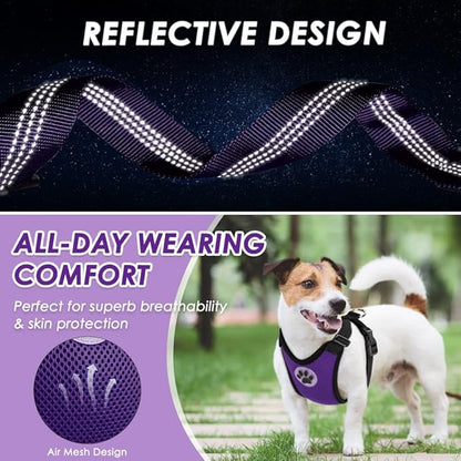 Lukovee Dog Seat Belt for Car, Adjustable Dog Car Harness for Large Medium Small Dogs, Soft Padded & Breathable Mesh Dog Seatbelt with Car Vehicle Connector Strap (Purple,XXX-Small)