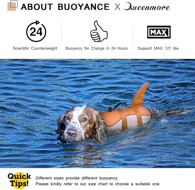Queenmore Dog Life Jacket