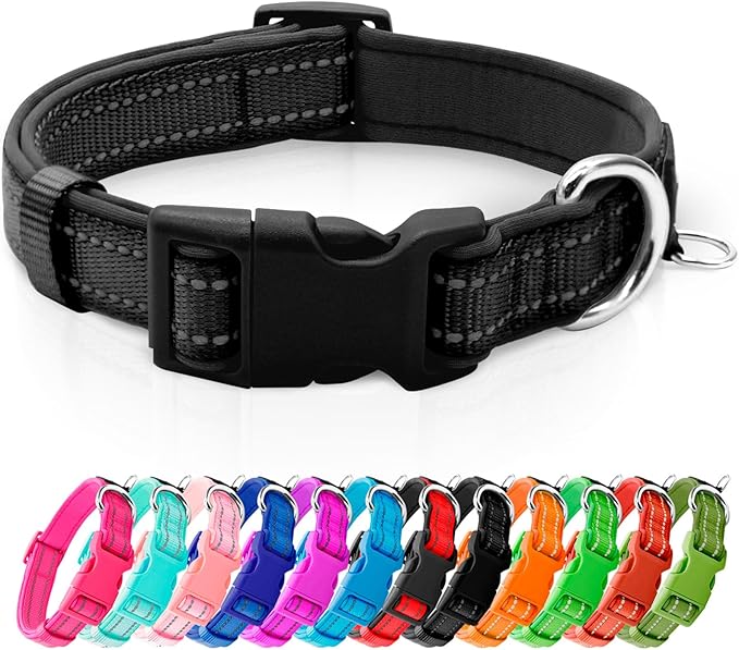 azuza Reflective Dog Collar