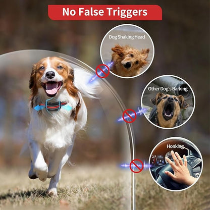 PetJoy Dog Bark Collar 5-15 lbs, 3 Pack 5 Adjustable