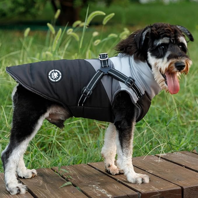 Norbi Dog Winter Coat 2 in 1 Dog