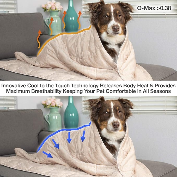 PetFusion Premium Cat and Dog Cooling Blanket. Lightweight Pet Blanket
