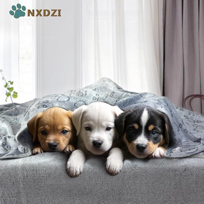 3 Pack Dog Blankets Washable - Soft Dog Blanket for Medium Dogs and Cats,Fluffy Flannel Pet Blanket Mat Cover for Bed Couch, Cute Print Puppy Blanket 41" x 31"