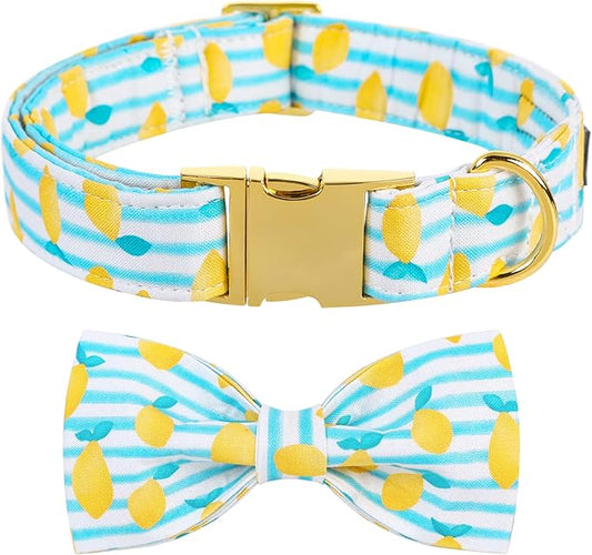 Maca Bates Summer Lemon Dog Collar with Bow Bowtie for Dogs Adjustable Breakaway Bows Tie Collars Accessories Birthday Gift for XS Small Medium Large XL for Girl Boy Puppy Cat Pets